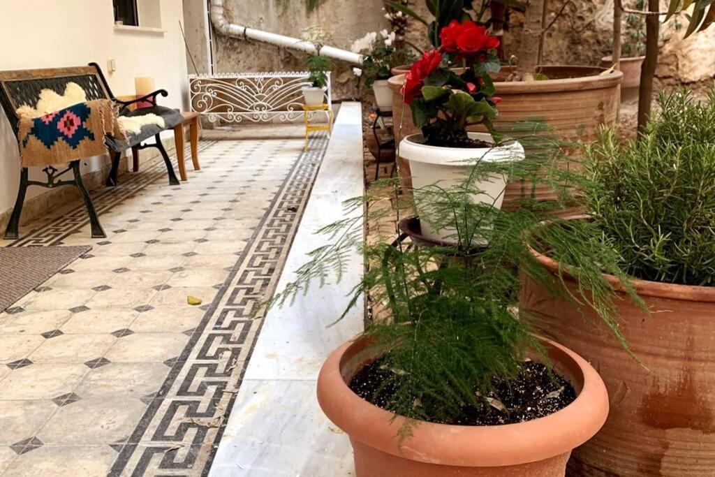 Quiet And Central Flat With Private Backyard Garden Афіни Екстер'єр фото