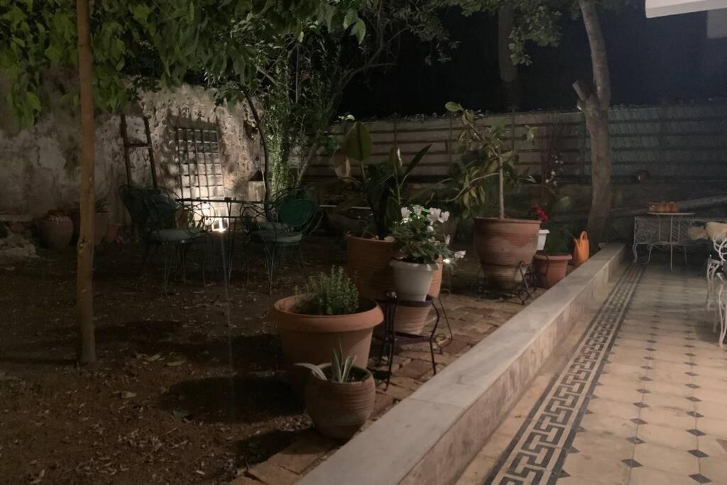 Quiet And Central Flat With Private Backyard Garden Афіни Екстер'єр фото